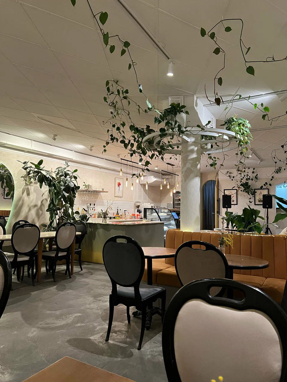 Ami Osteria